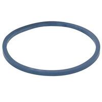 Buy General Ecology Seagull IV X-1F - Housing O-ring (Gasket) On-Line